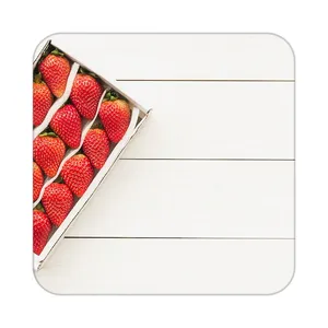 زیر لیوانی کاکتی طرح میوه مدل mp21411