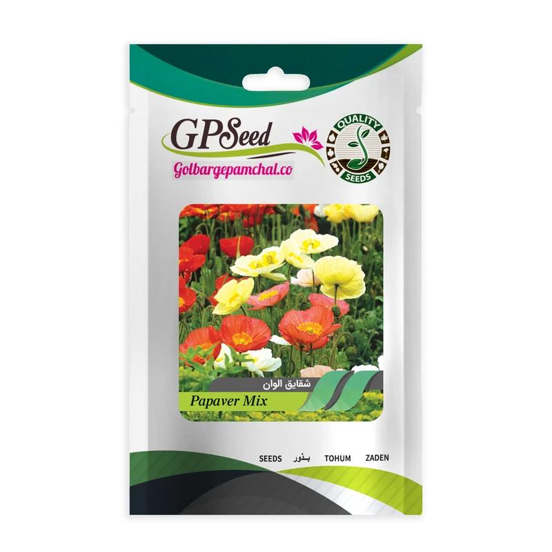 بذر گل شقایق پابلند الوان گلبرگ پامچال کد GPF-061