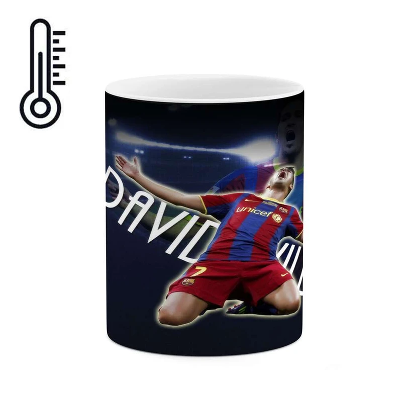 ماگ حرارتی کاکتی مدل داوید ویا کد  mgh12321