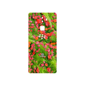 MAHOOT Atom Universe 3 Cover Sticker for BlackBerry Evolve