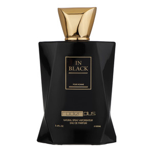 ادو پرفیوم مردانه رودیر پلاس مدل In Black حجم 100 میلی لیتر