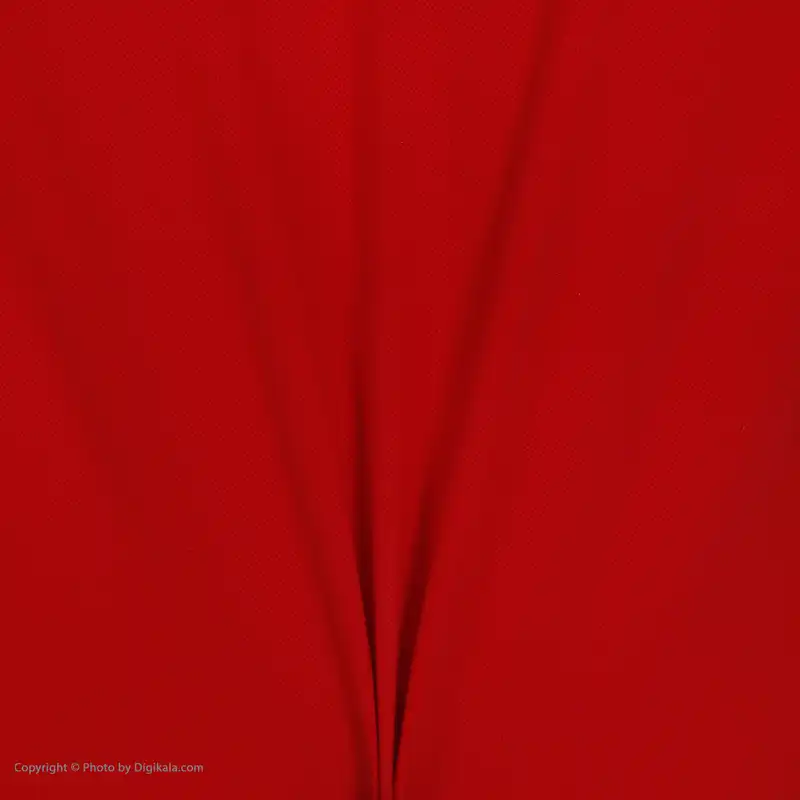 پولوشرت ورزشی مردانه پانیل مدل 104R-72