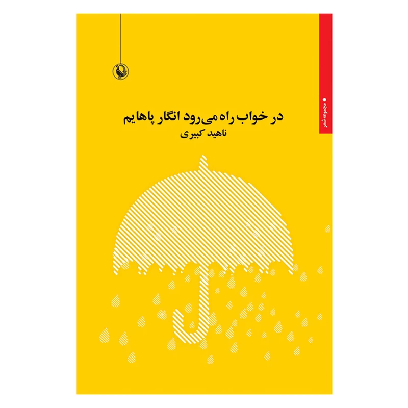 کتاب در خواب راه می رود انگار پاهایم اثر ناهید کبیری انتشارات مروارید 