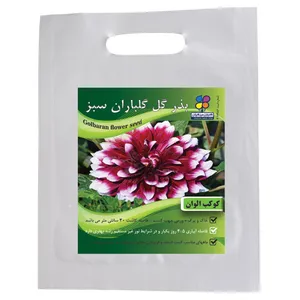 بذر  گل کوکب الوان گلباران سبز