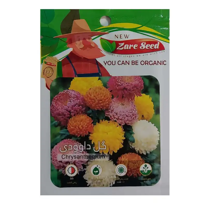 بذر گل داوودی زارع سید کد ZS-143