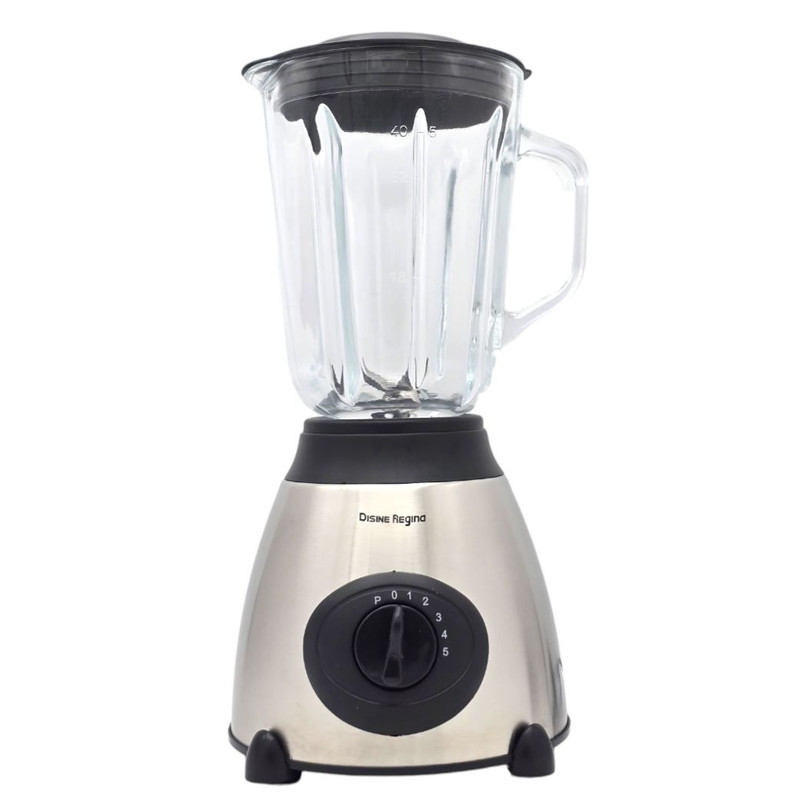 مخلوط کن و آسیاب کن دسینی مدل DR-Y66