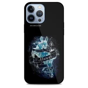 AKAM AMCWA13Pro Max-HARRY POTTER2 Cover For Apple iPhone 13PRO MAX