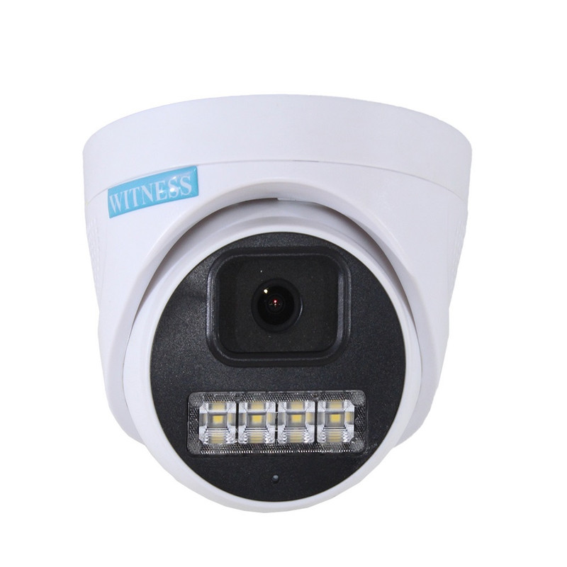 دوربین مداربسته آنالوگ ویتنس مدل WS-501DWM