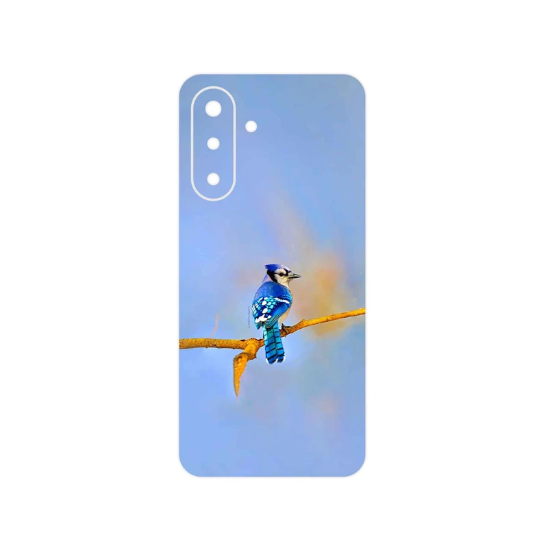 برچسب پوششی ماهوت مدل Cyanocitta cristata مناسب برای گوشی موبایل سامسونگ Galaxy A17 4G