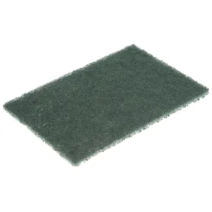 1124 Scouring Pad