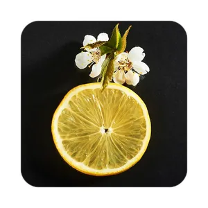 زیر لیوانی کاکتی طرح میوه مدل mp20848