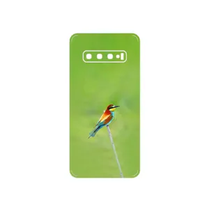 MAHOOT European bee-eater Cover Sticker for Samsung Galaxy S10