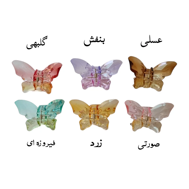 عکس شماره 2