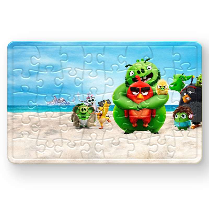 پازل 54 تکه مدل انگری بردز 