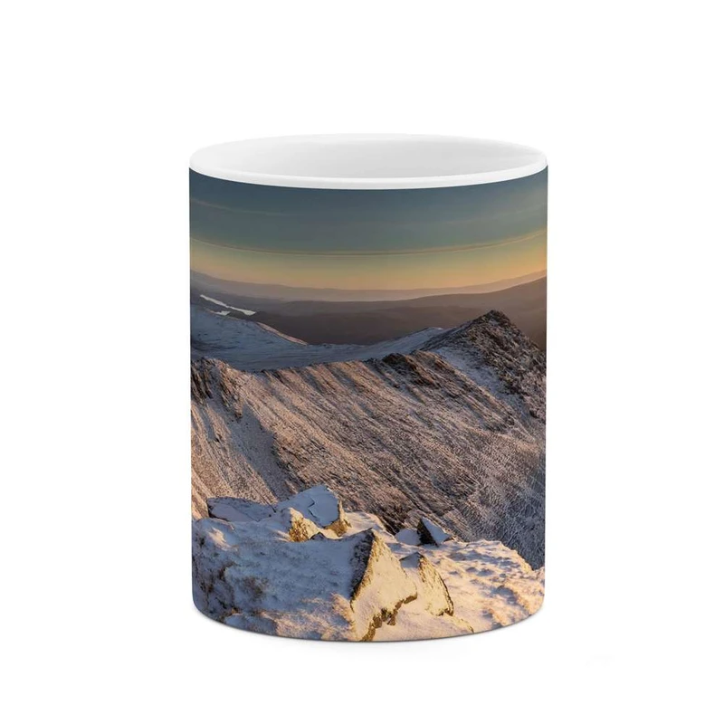 ماگ کاکتی مدل منظره کد mgh16715