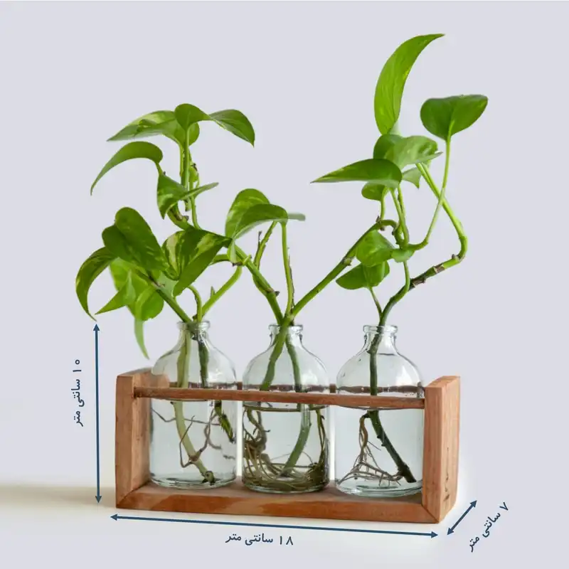 گلدان دکوری گوشکوب مدل پونه بسته سه عددی