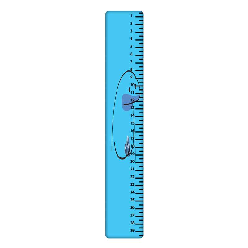 خط کش 30 سانتی متر طرح میقولی کد 2406