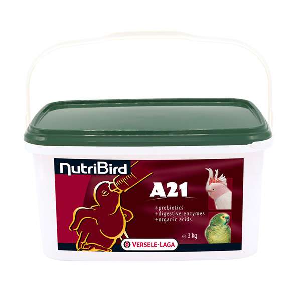 سرلاک طوطی سانان ورسلاگا مدل A21 وزن 3 کیلوگرم