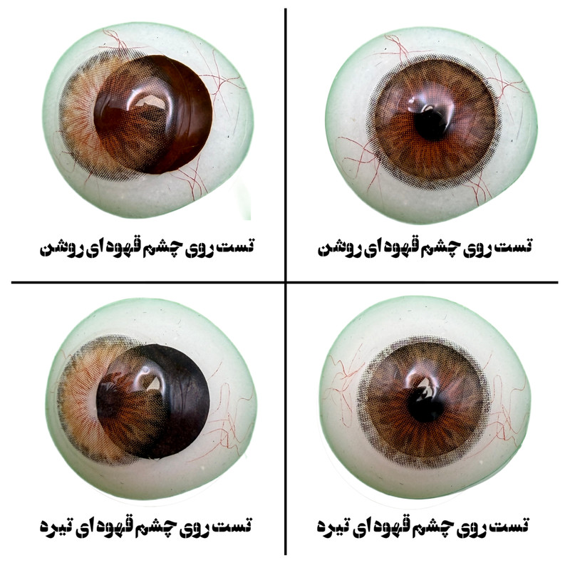 لنز چشم یونیک فصلی مدل CELOPATRA HAZEL رنگ عسلی قهوه ای دوردار مرکز ریز