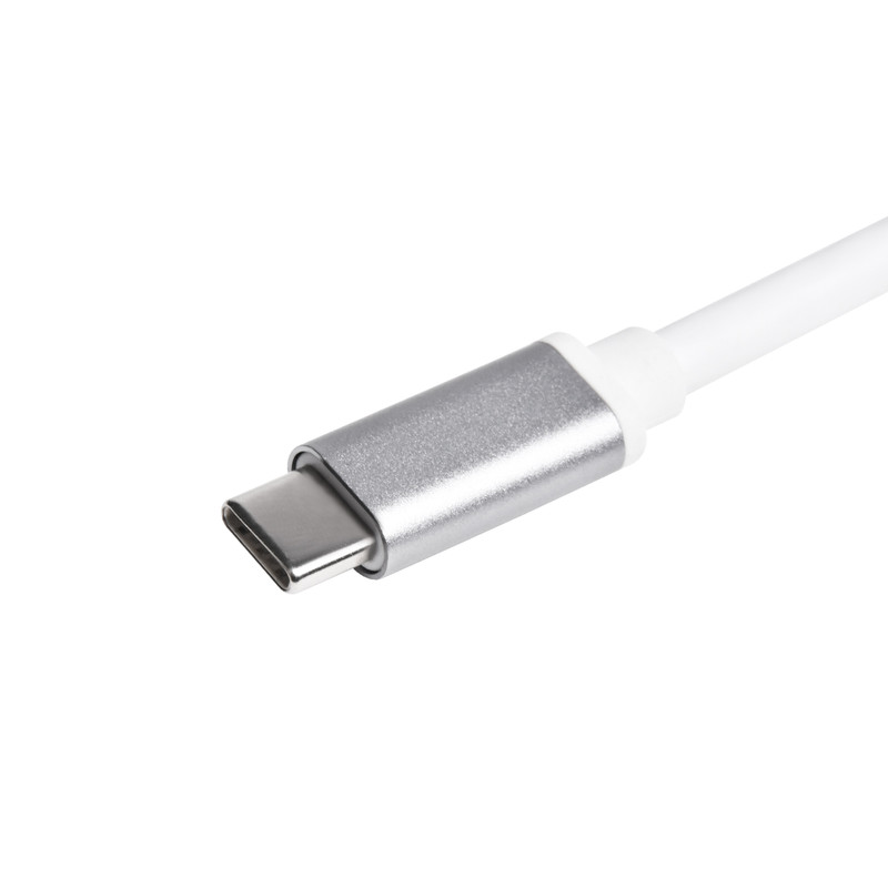 مبدل USB-C به LAN سیلور استون مدل EP13 1
