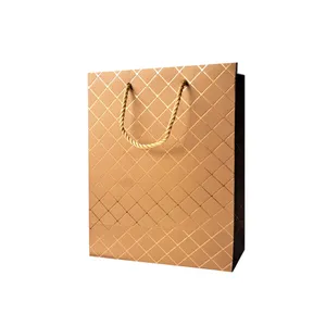 ساک هدیه مدل بیگنس کد 601 بسته 12 عددی