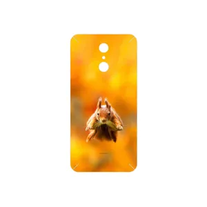 MAHOOT Squirrel Cover Sticker for LG Q7