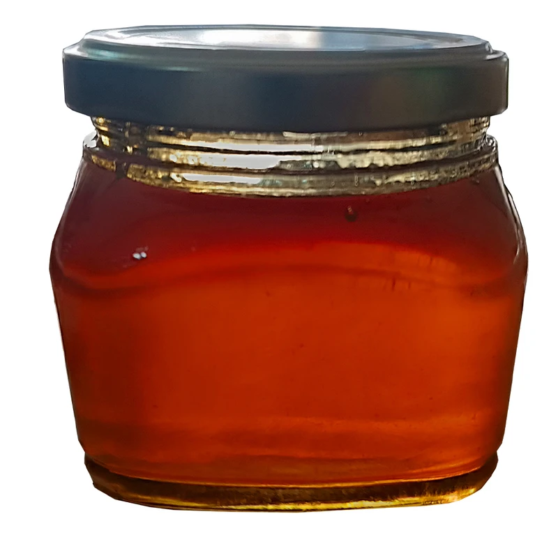 عسل سماق بدون تغذیه کل چرمی - 400 گرم