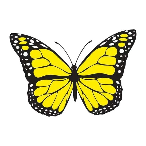 استیکر پارچه و لباس پاد آفرین مدل پروانه کد 483