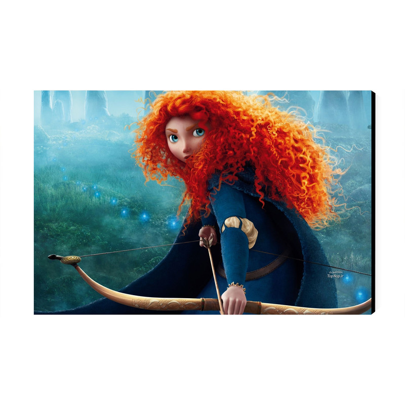 تابلو شاسی عرش مدل فانتزی انیمیشن شجاع مریدا کد As4092