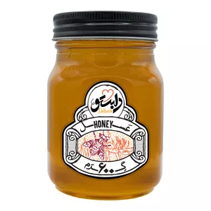 عسل چهل گیاه طبیعی دِلبِستو - 600 گرم