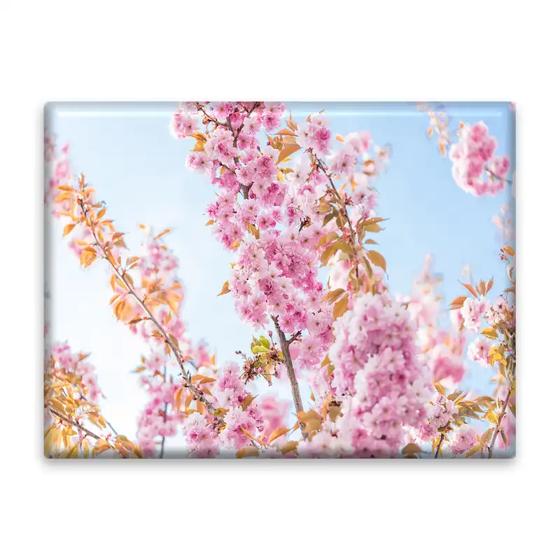 کاشی اطلس آبی طرح شکوفه های بهاری درخت هلو مدل T1311