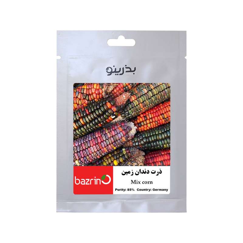 بذر ذرت دندان زمین بذرینو کد BZNO-174 بذر ذرت دندان زمین بذرینو کد BZNO-174