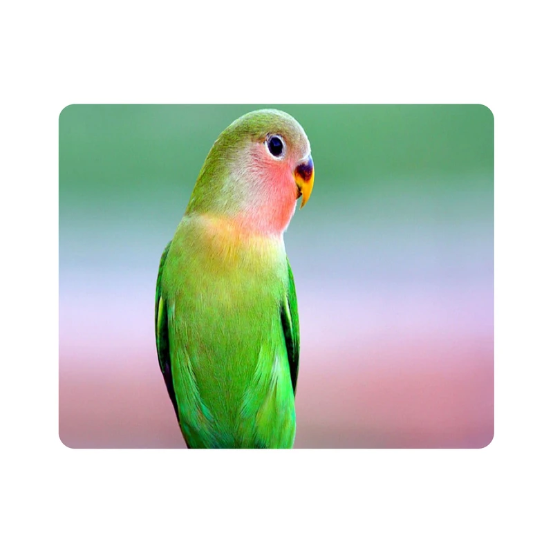 ماوس پد طرح پرنده طوطی مدل T8083