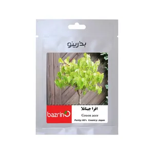 بذر بنسای افرا جینانلا بذرینو کد BZNO-084