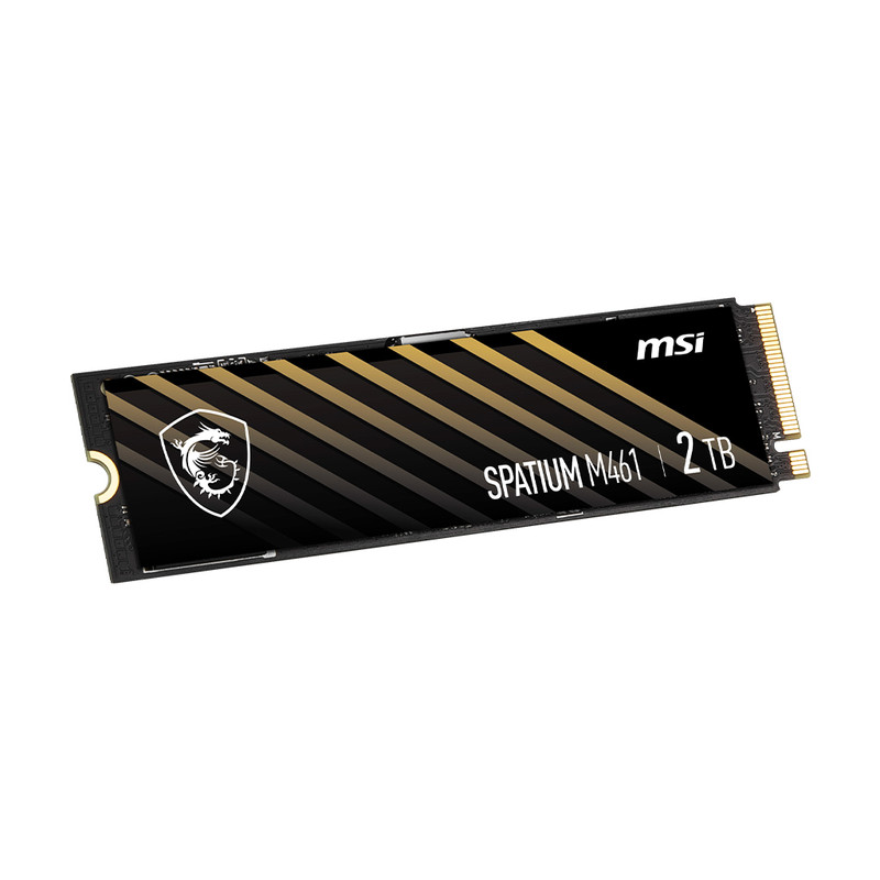 اس اس دی اینترنال PCIe Gen4 x4 ام اس آی مدل M461 ظرفیت 2 ترابایت