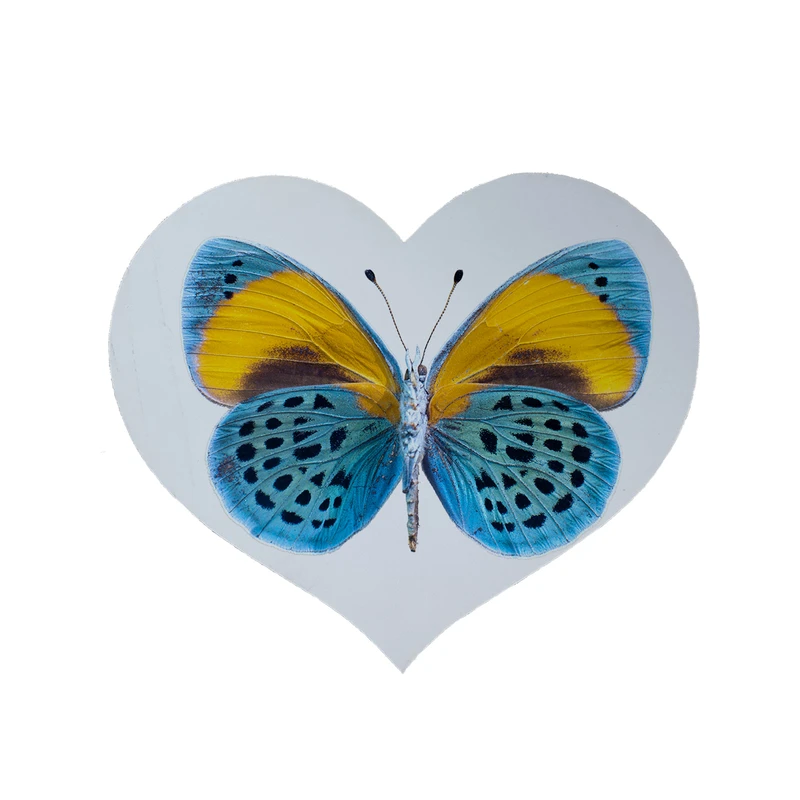 پادری مدل قلب طرح پروانه کد 9017 سایز 90x90 سانتی متر