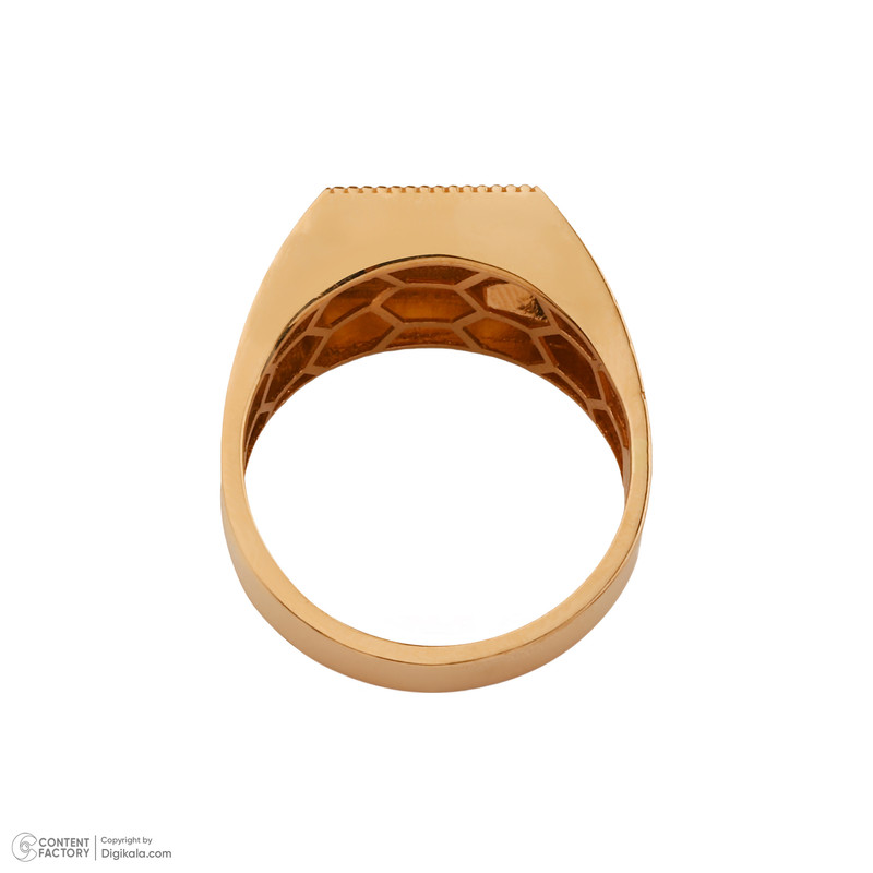 انگشتر طلا 18 عیار مردانه صلاحی گلد مدل 17556 سایز 65