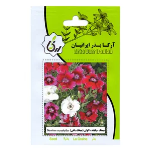 بذر میخک پابلند الوان آرکا بذر ایرانیان مدل C141