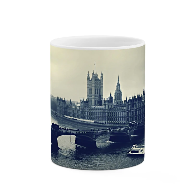 ماگ کاکتی طرح شهر کد mgp11544