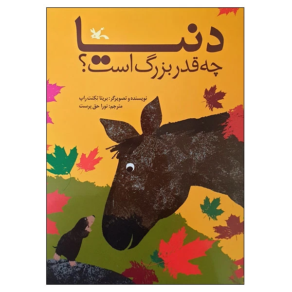 کتاب دنیا چه قدر بزرگ است اثر بریتا تکنت راپ انتشارات کانون پرورش فکری کودکان و نوجوانان