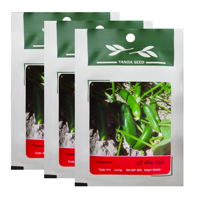 بذر خیار بوته ای وانیا سید کد K11 مجموعه 3 عددی