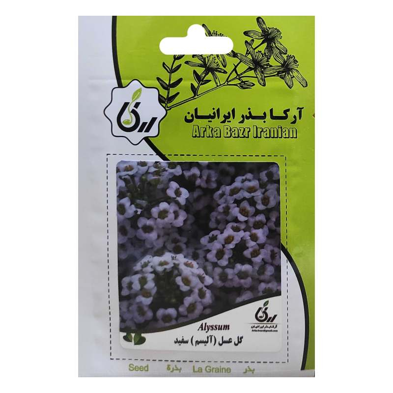 بذر گل عسل (آلیسم) سفید آرکا بذر ایرانیان کد A80