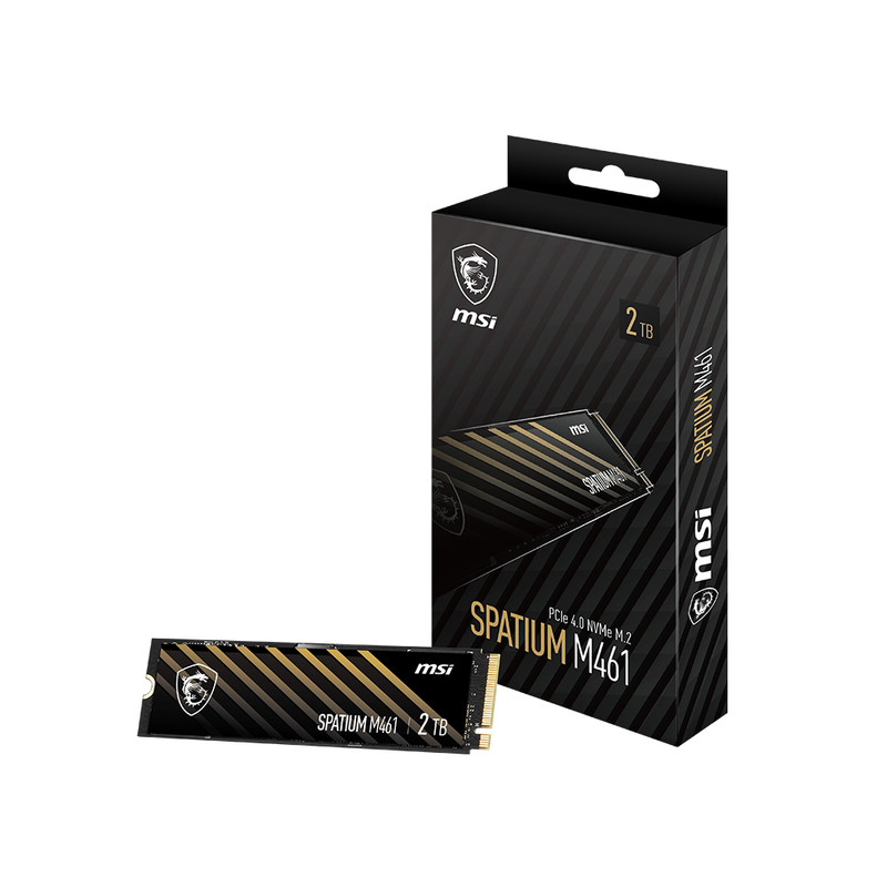 اس اس دی اینترنال PCIe Gen4 x4 ام اس آی مدل M461 ظرفیت 2 ترابایت