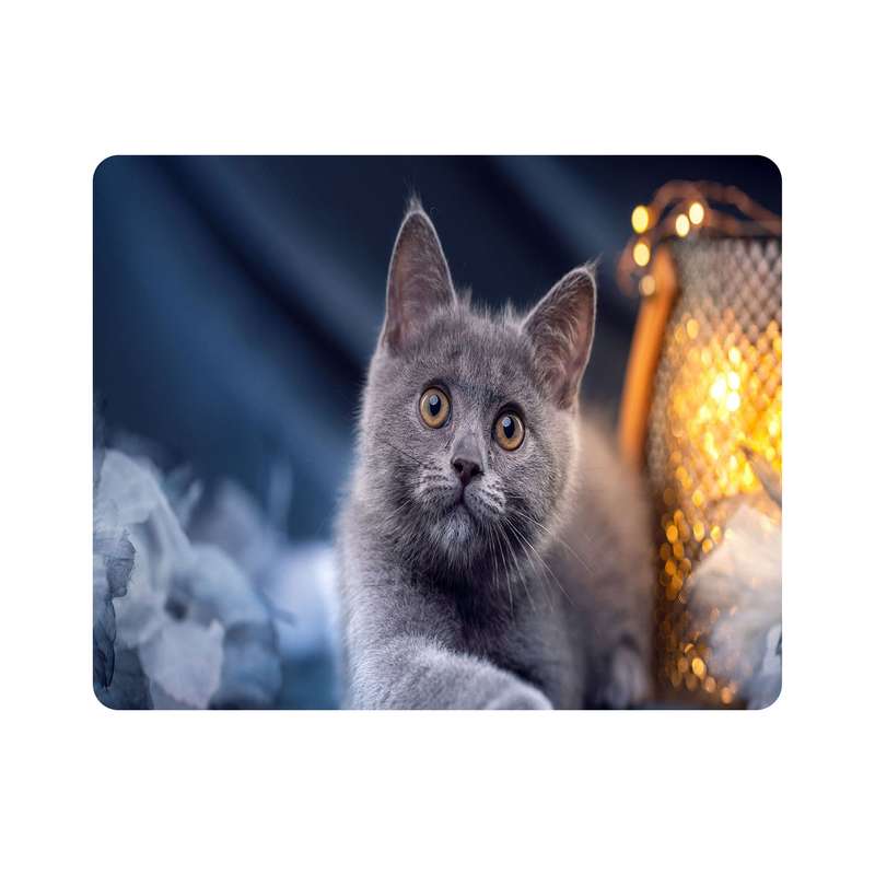 ماوس پد اطلس آبی طرح گربه  مدل T7956