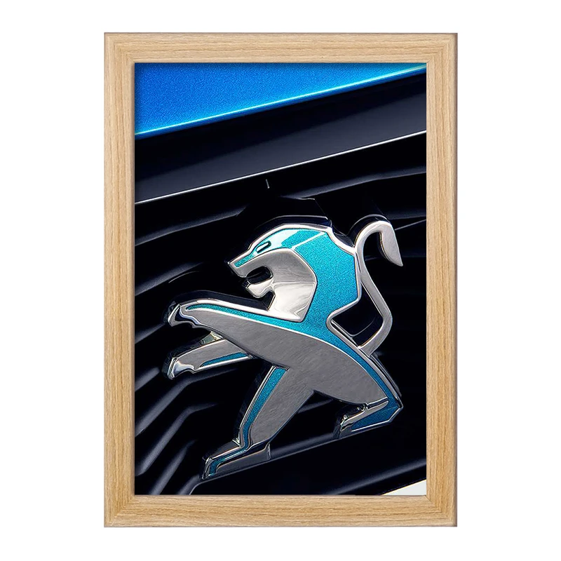 تابلو خندالو مدل پژو Peugeot  کد 23653