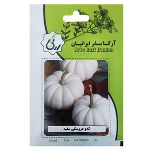 بذر کدو عروسکی سفید آرکا بذر ایرانیان کد 136-ARK