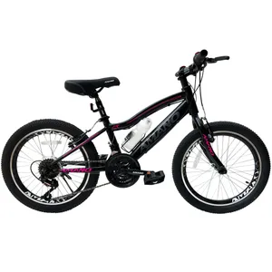 دوچرخه کوهستان مدل GT2008 سایز 20