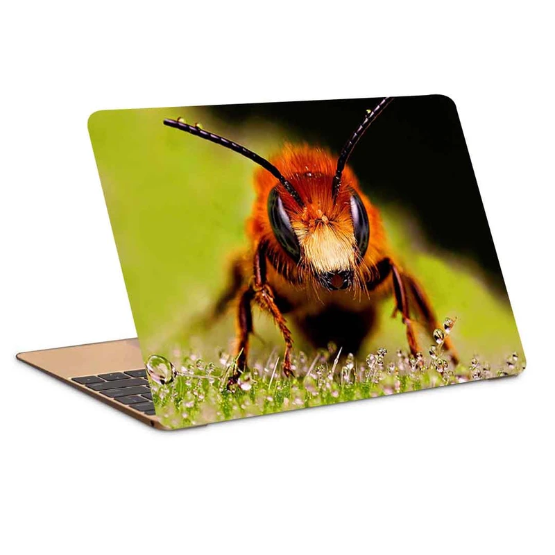 استیکر لپ تاپ طرح bee-2 کد P-623 مناسب برای لپ تاپ 15.6 اینچ