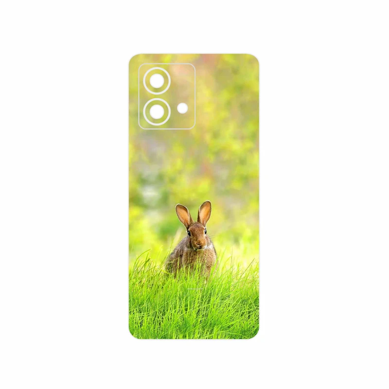 برچسب پوششی ماهوت مدل Rabbit مناسب برای گوشی موبایل موتورولا Moto G84