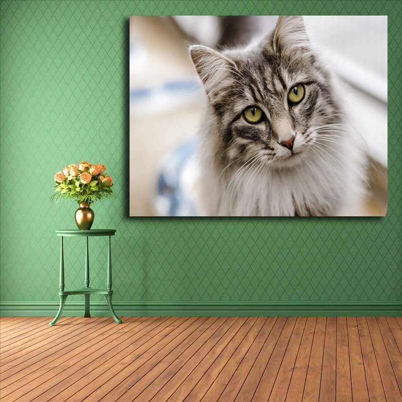 تابلو شاسی مدل گربه کد 10